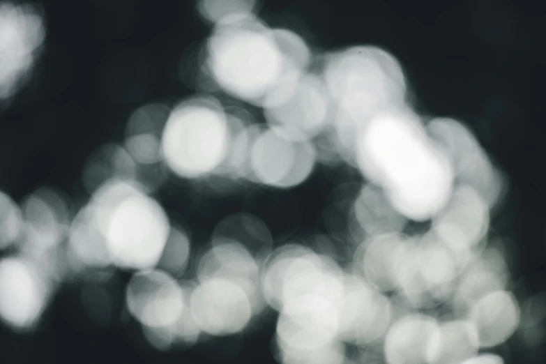 black and white image of blurred light from the trees