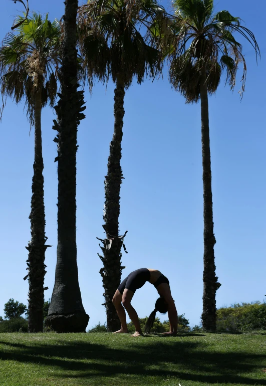 man in black shirt doing a handstand in front of palm trees