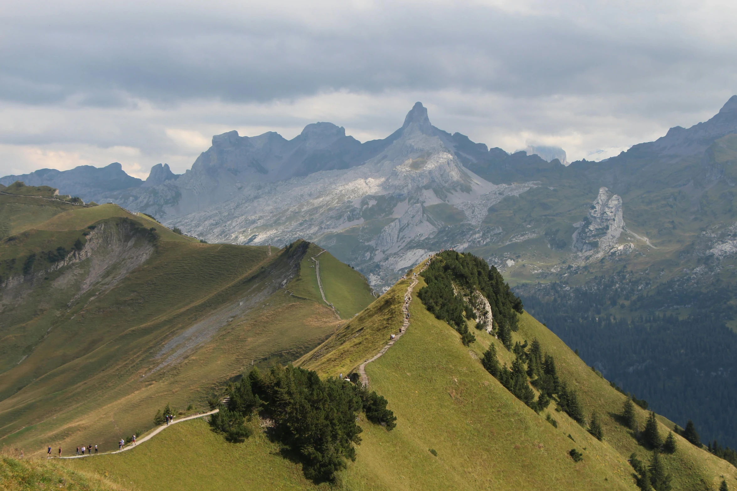 the mountains are covered with grass and trees