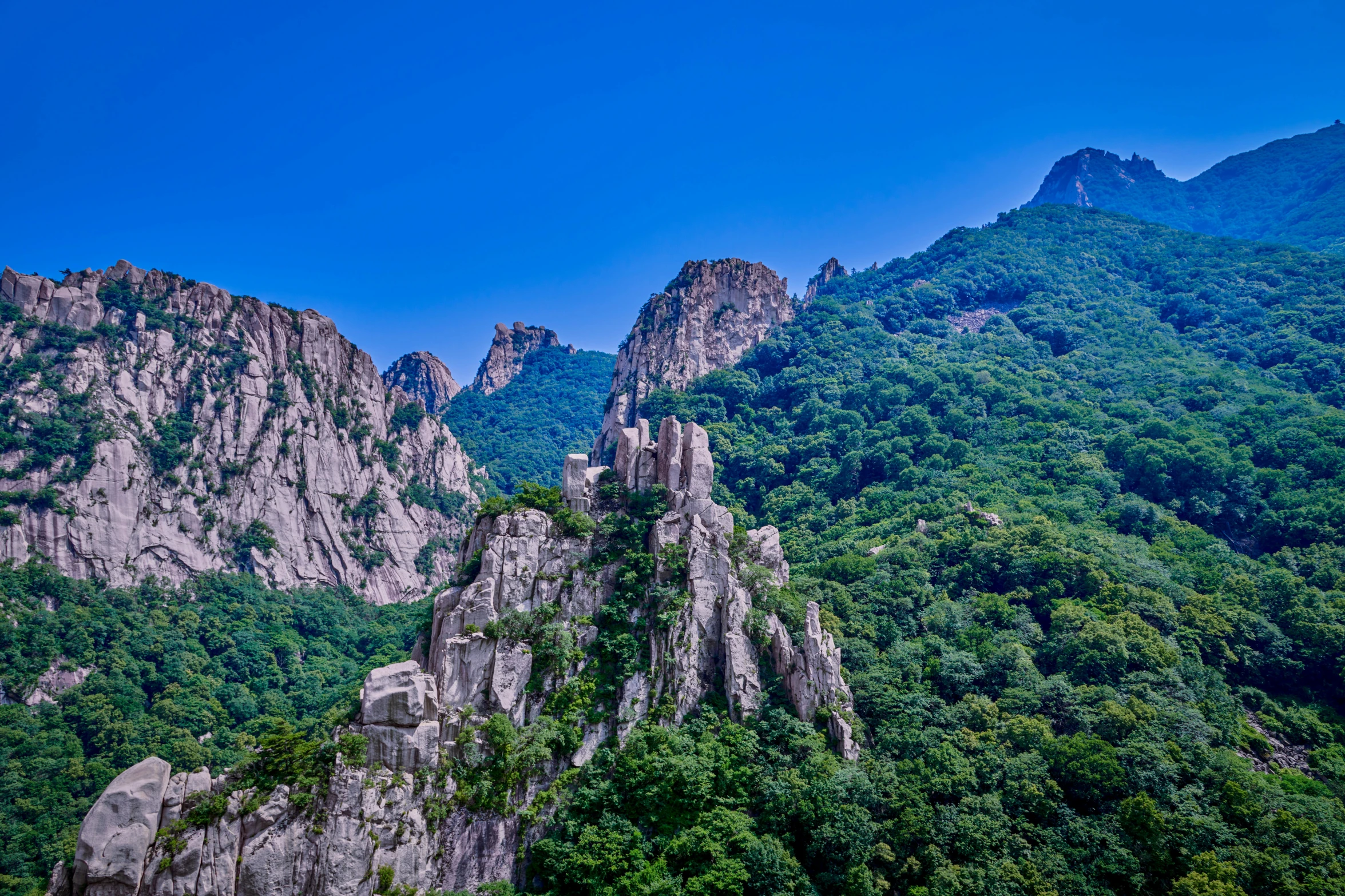 a mountain covered in forest next to rocks