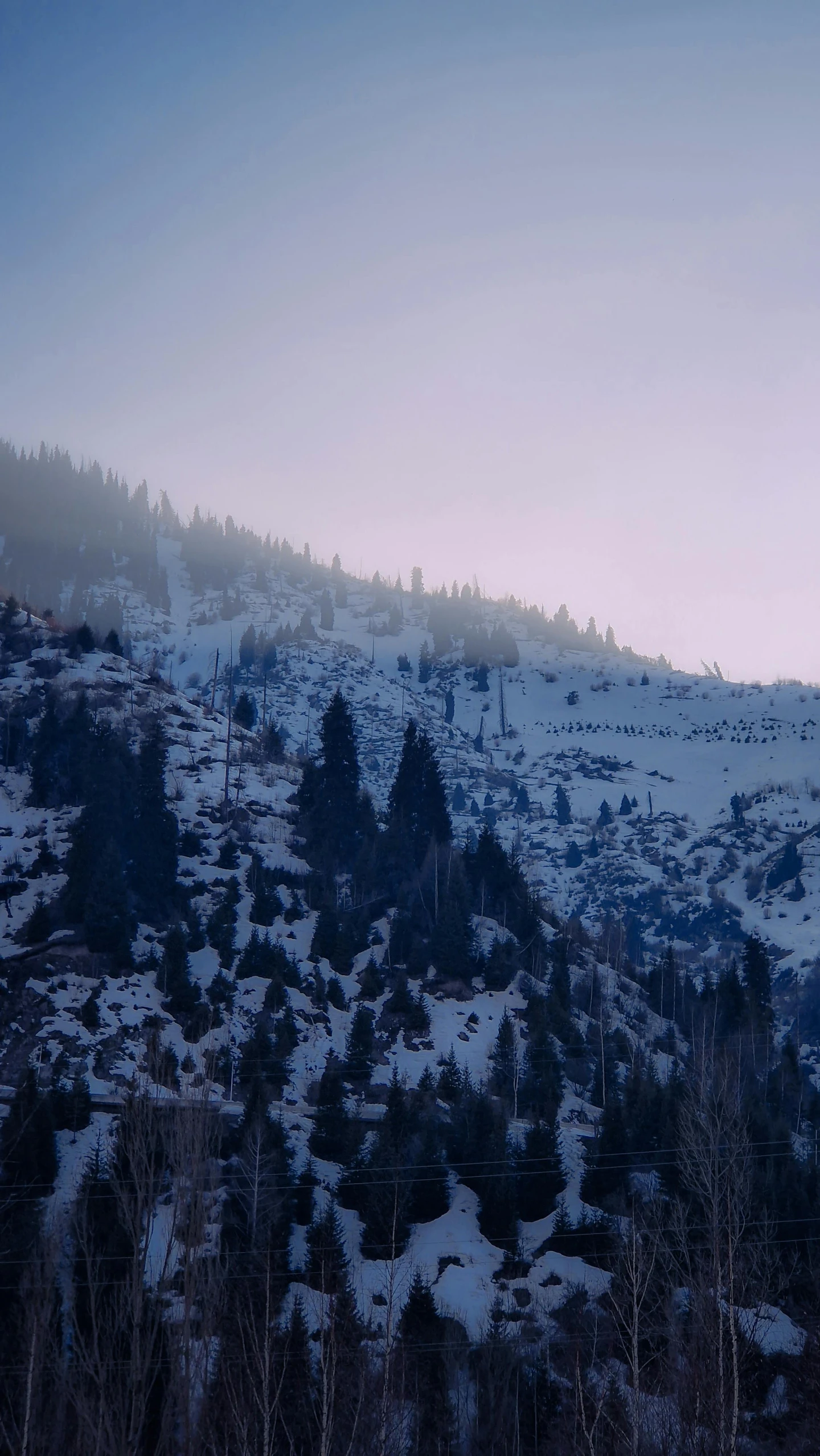 a small hill is covered with lots of snow