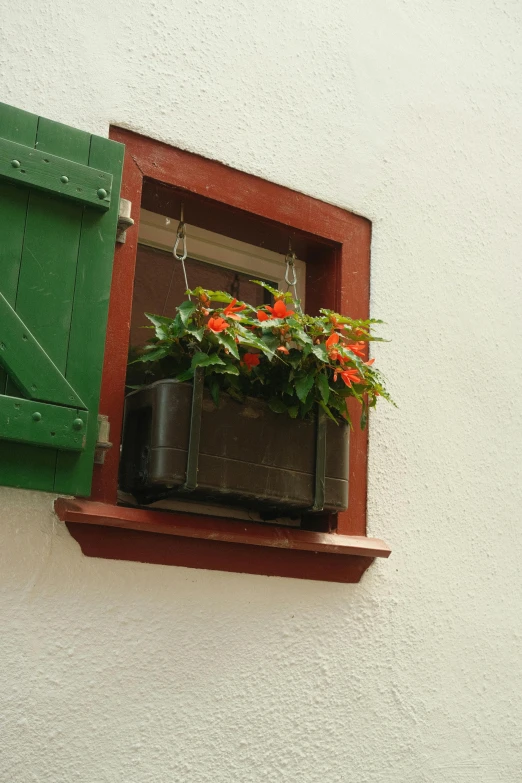 window box with plants and an umbrella attached