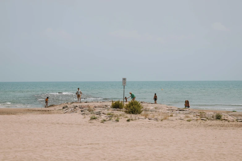 a group of people standing around on a beach near the ocean