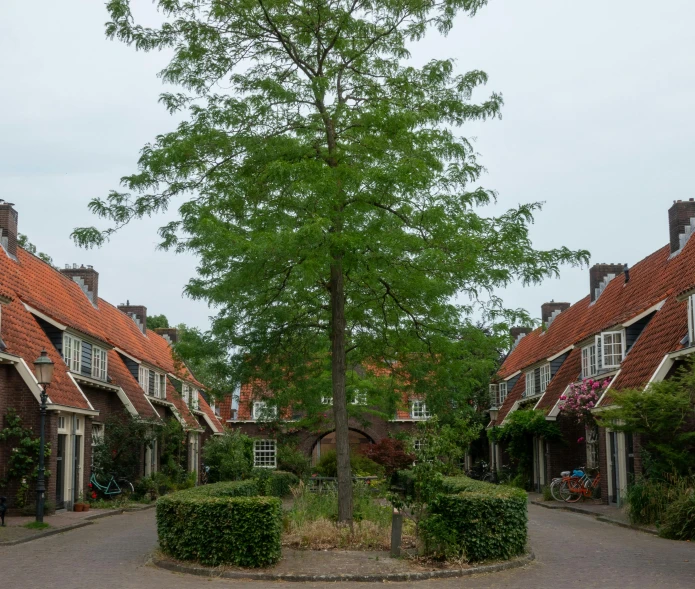 there are many buildings in the village