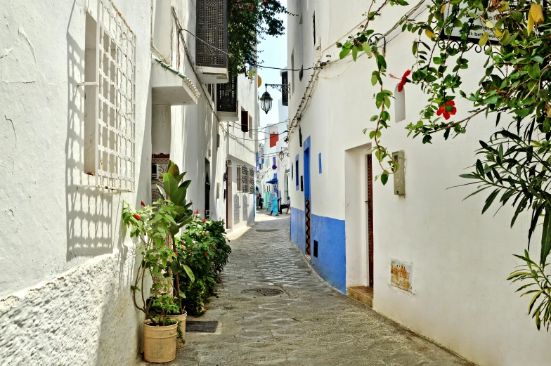 an alley with potted plants on both sides of the narrow street