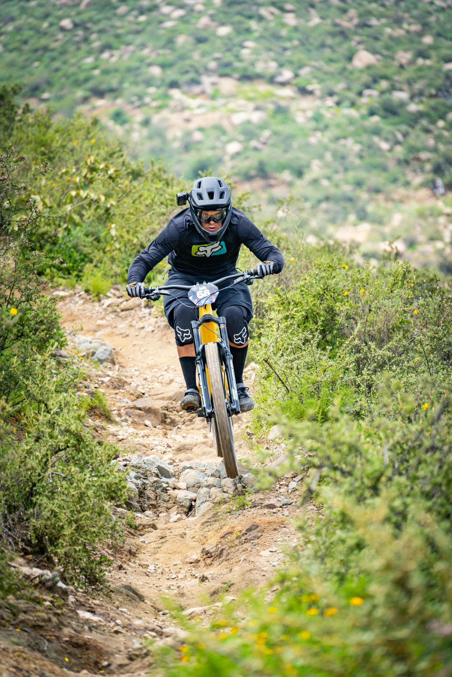 a person on a bicycle traveling through some brush