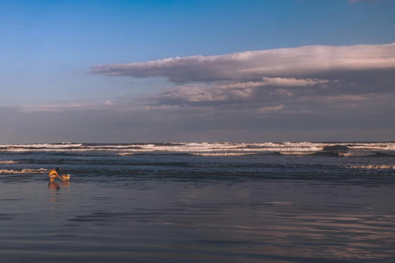 a dog that is in the water with a frisbee