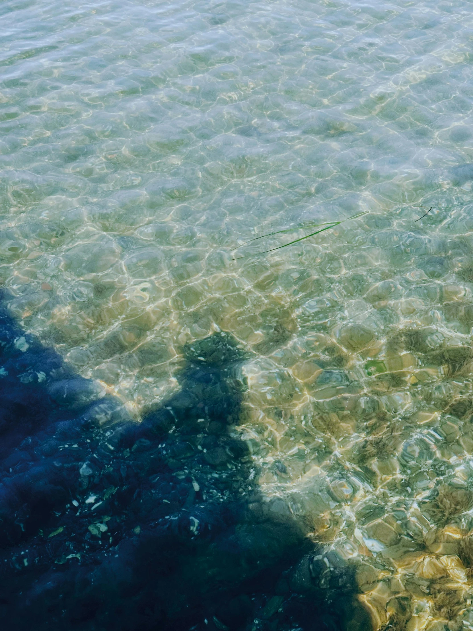 the shadow of a person and dog are cast from the water