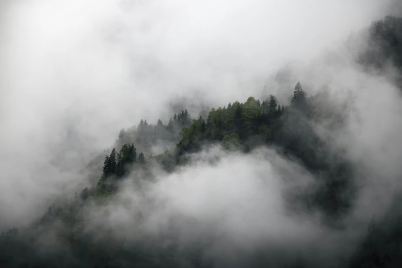 a hill is covered in fog and trees