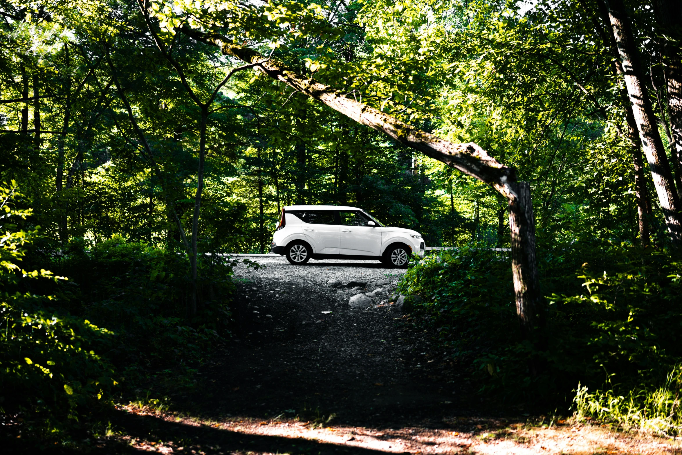 a white suv is on a road through some trees