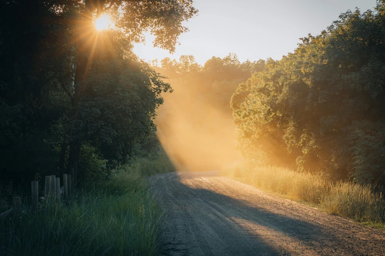 the sun shining down on an empty country road