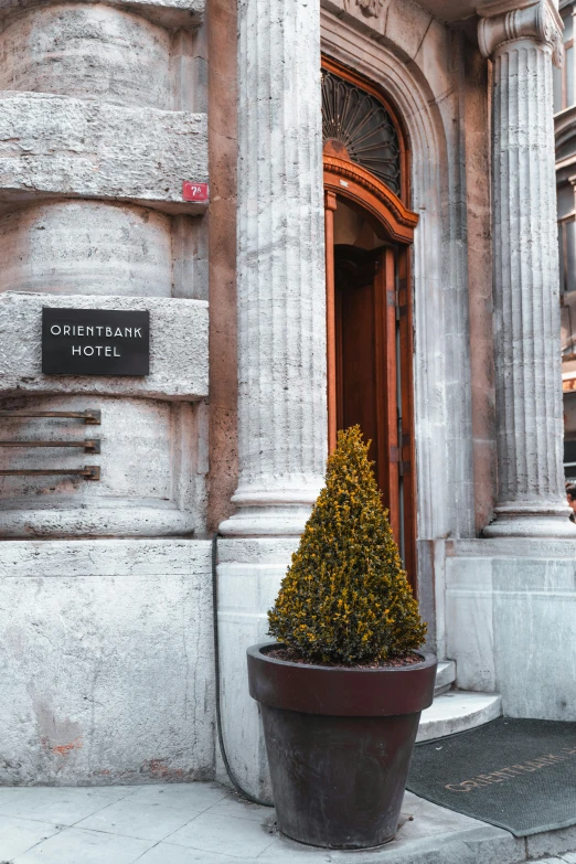 a potted plant with trees on it outside of a building