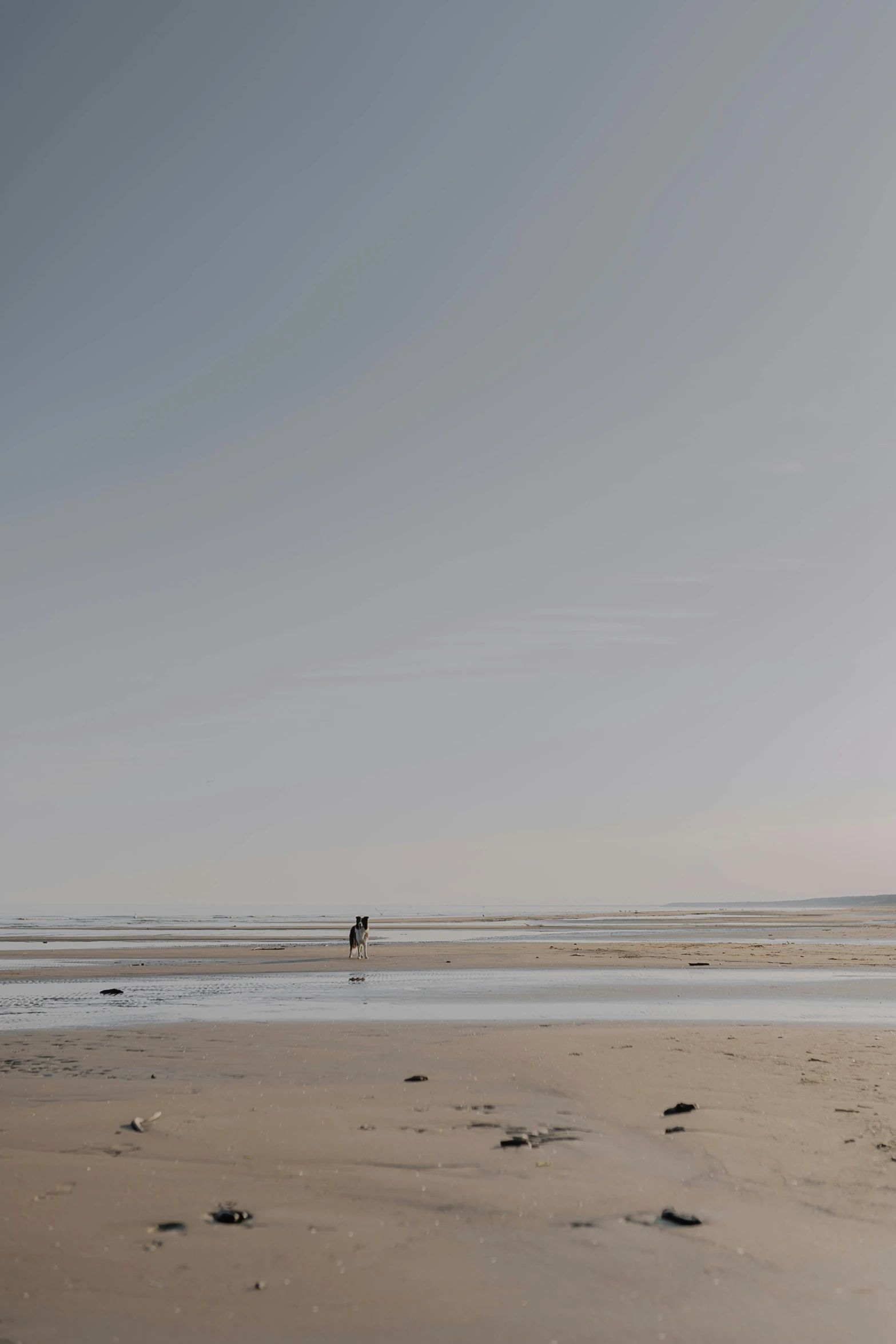 two people standing on top of a sandy beach