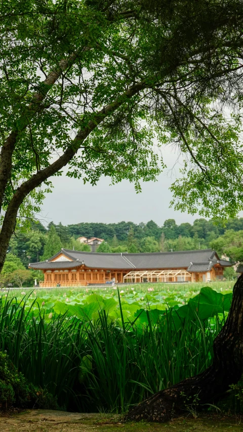 a tall building with a roof sitting next to trees