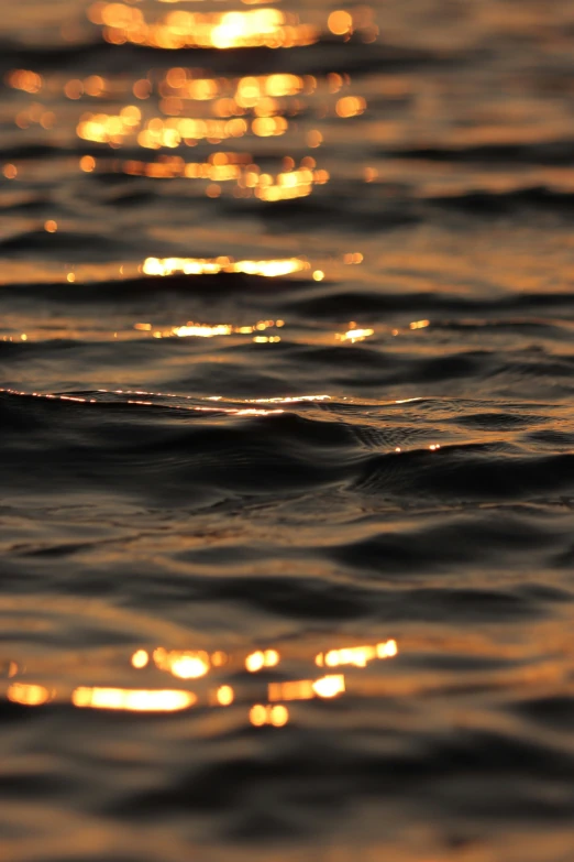 sunlight shines on the water and creates waves