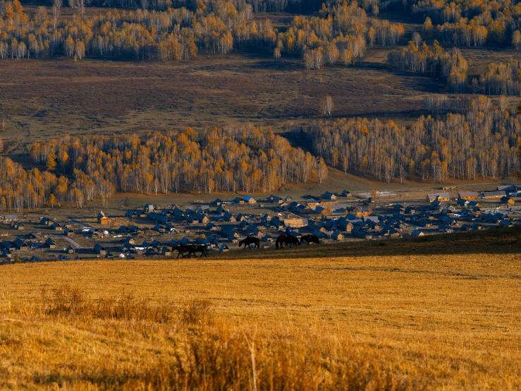 the view of an outside, dirt, trees, and houses