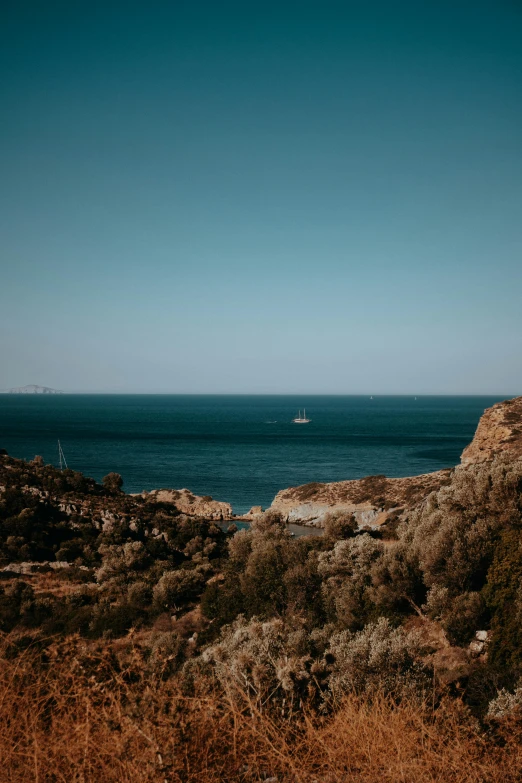 a sail boat floats over the water while an ocean scrubby lies out in the foreground