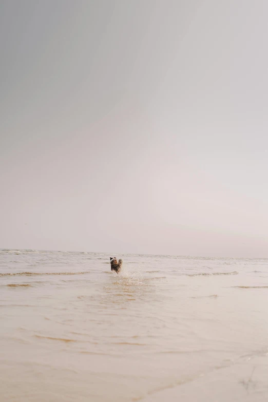 a person with a surf board in the water