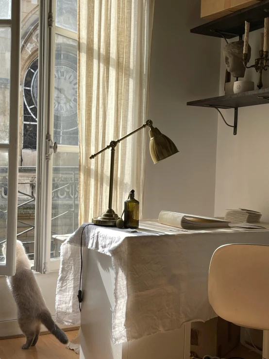 a gray cat standing in a room next to a table with a lamp