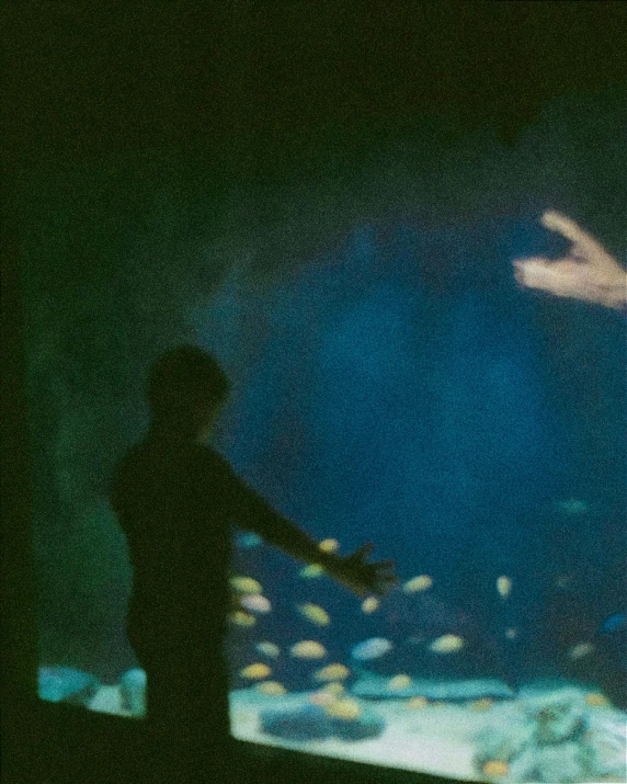 a man is standing near an aquarium in silhouette