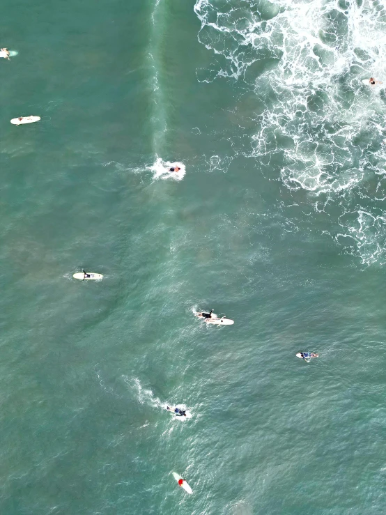 people riding on surfboards with long sails