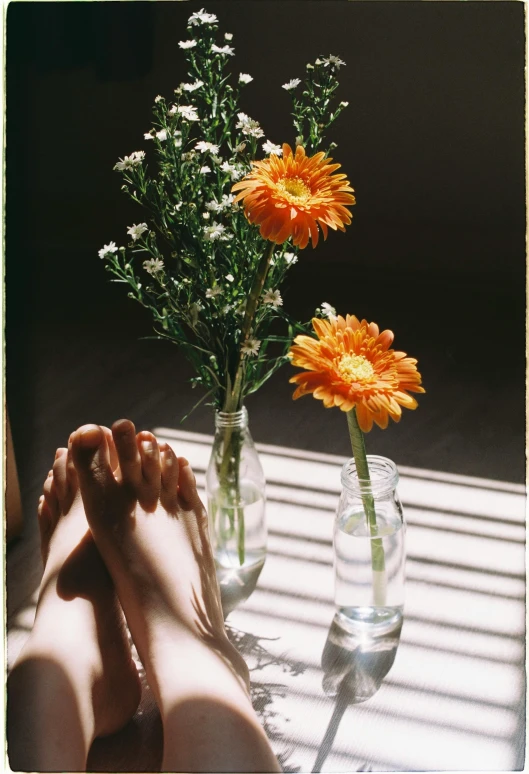 a sunbeam, with a sunlit flower in the background, and a person's feet resting on the table next to two vases