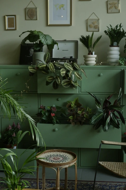 a green dresser next to some plants in a room