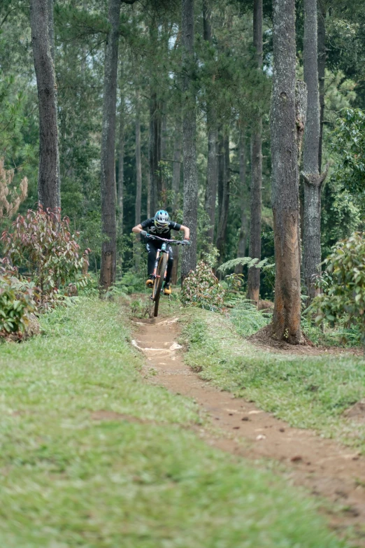 a person riding on the back of a bike