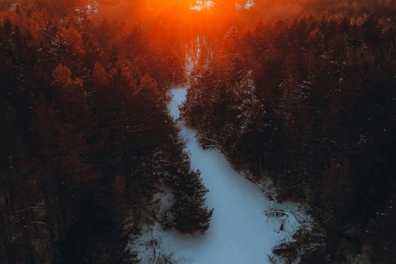 sun peeks over the snow covered ground near a trail