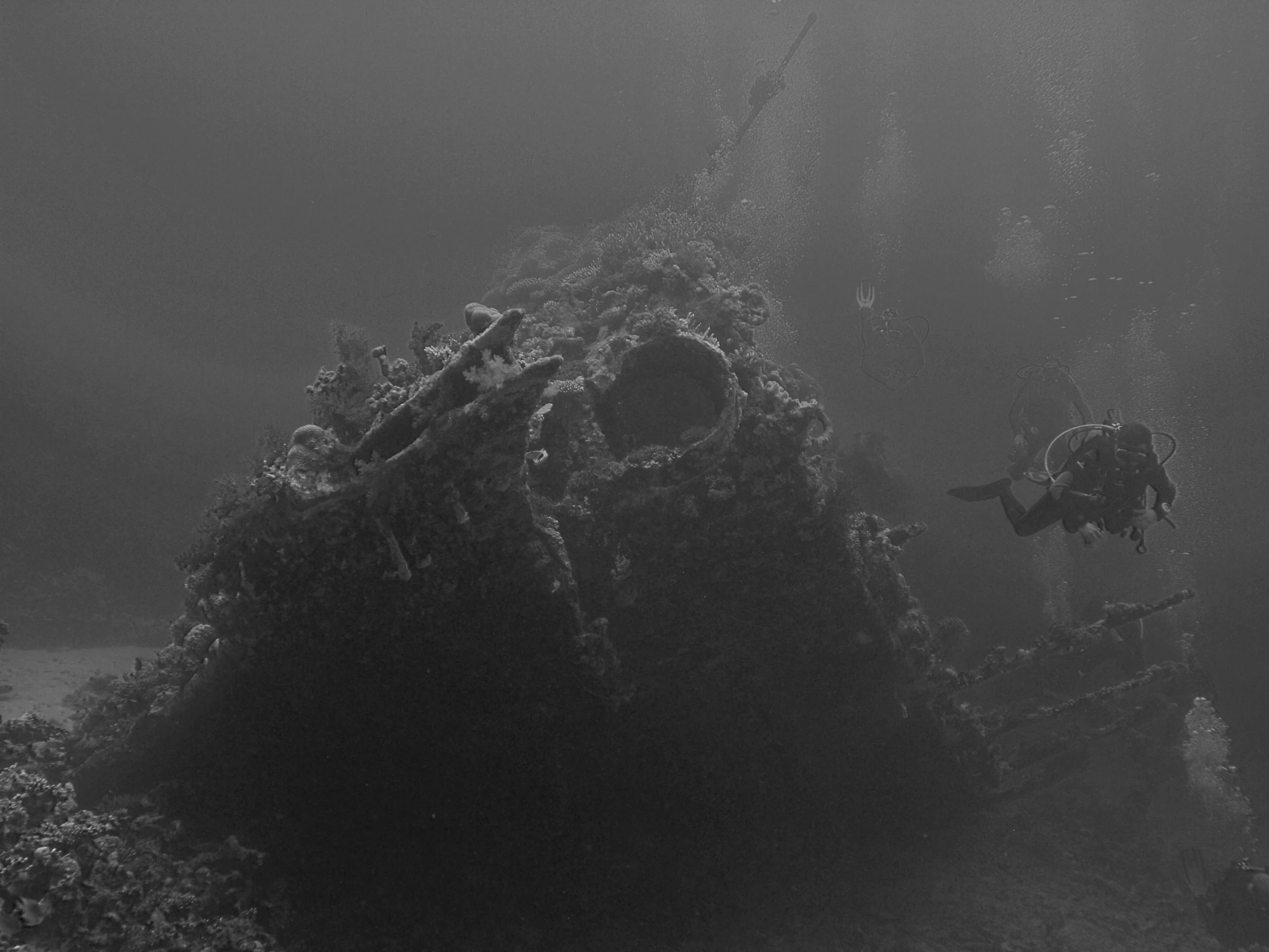 two people diving in an underwater wreck