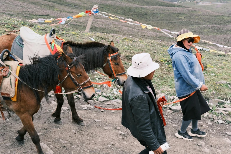 a man and woman stand in front of a small donkey