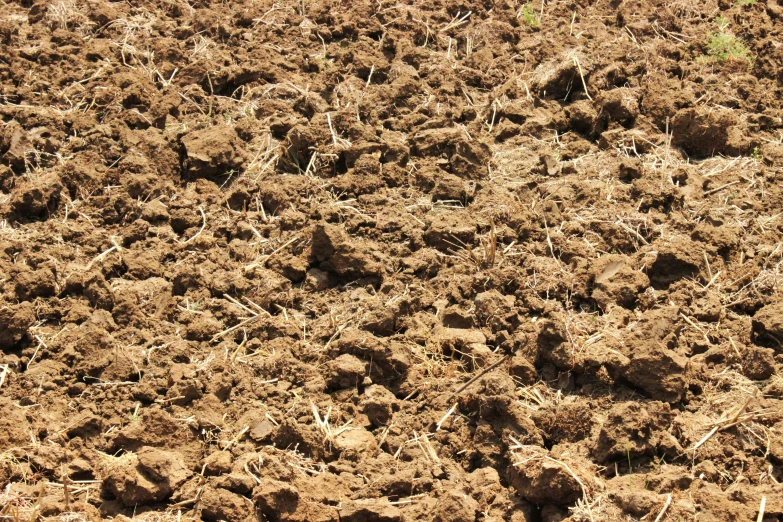 a large brown field full of dirt