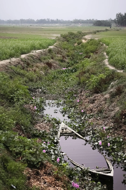 a boat sitting next to the edge of a grassy waterway