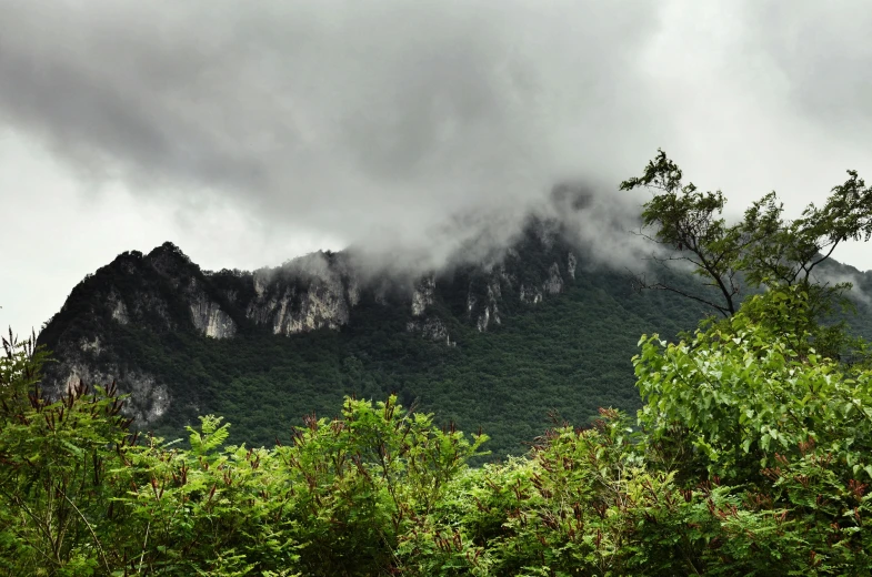 clouds drift over a mountain that appears to be almost obscured by trees