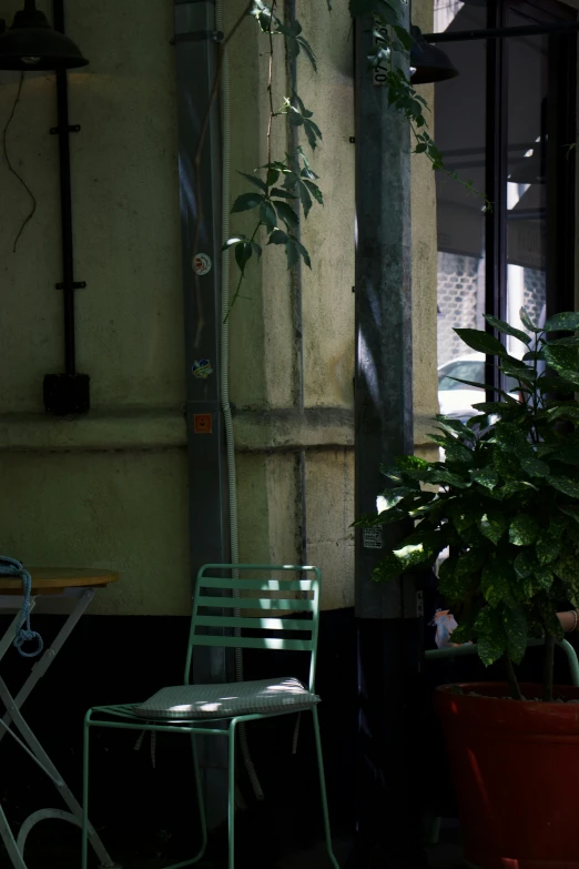 a table and chair with a potted plant next to it