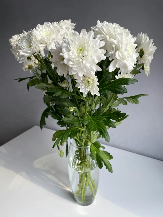 white flowers sit in the vase on the table
