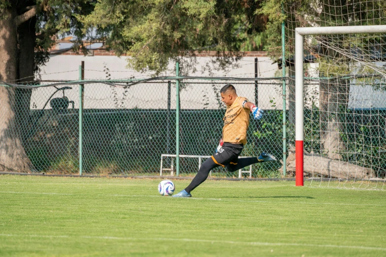 a person that is playing soccer on a field