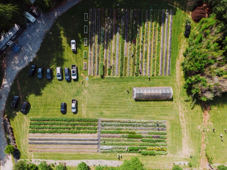an aerial view of a farm field filled with trees
