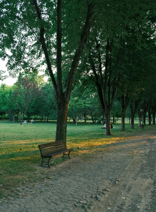 a small bench in a park near a few trees