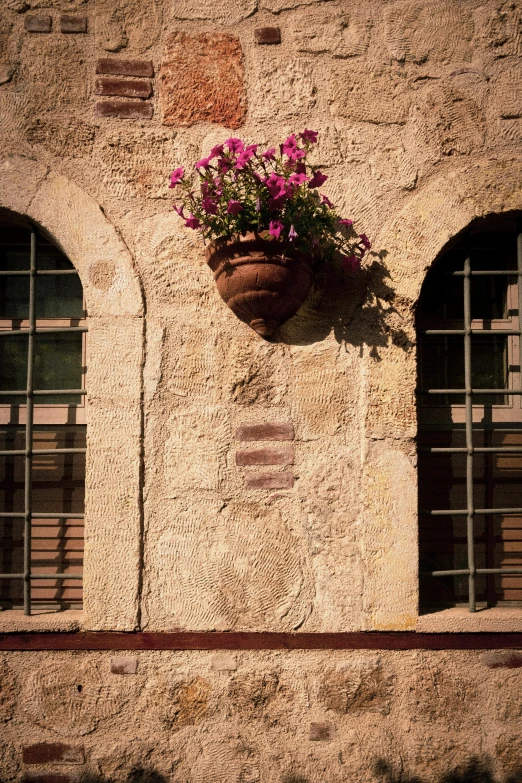 a potted plant on the side of an old adobe building