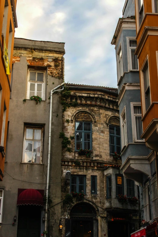 old building with open windows and ivy growing on the side