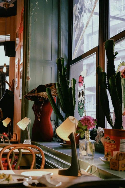 a couple of plants that are sitting on a table