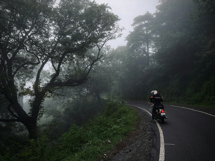 a person riding a motor bike on a foggy road