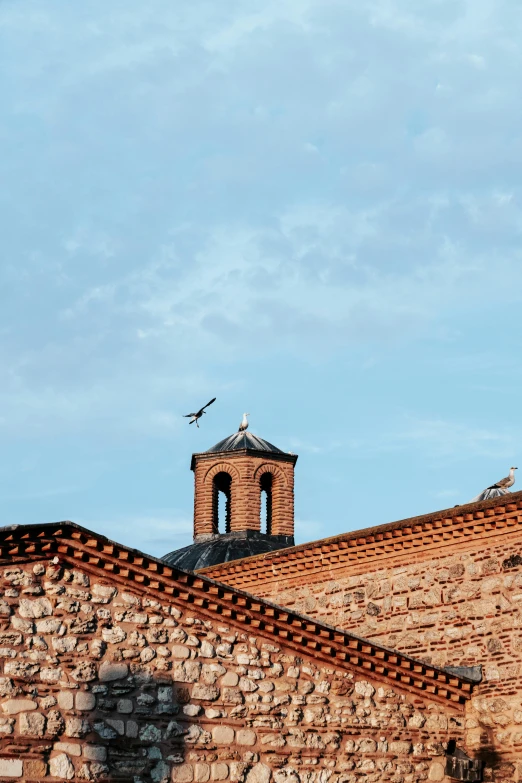 an old building with two towers, a clock tower and seagulls