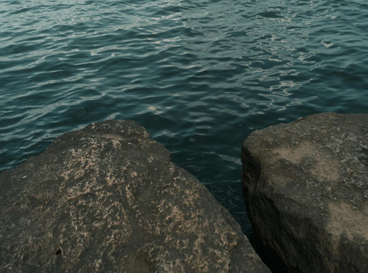 a bird standing on top of two large rocks next to the water