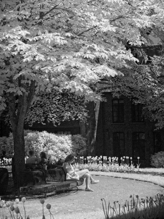 a woman laying on a park bench in front of a large tree