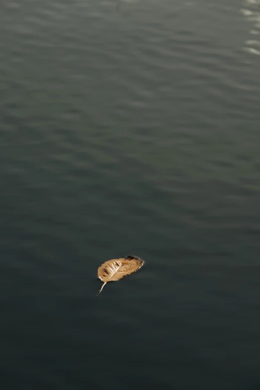 a small boat with a leaf on the end of it