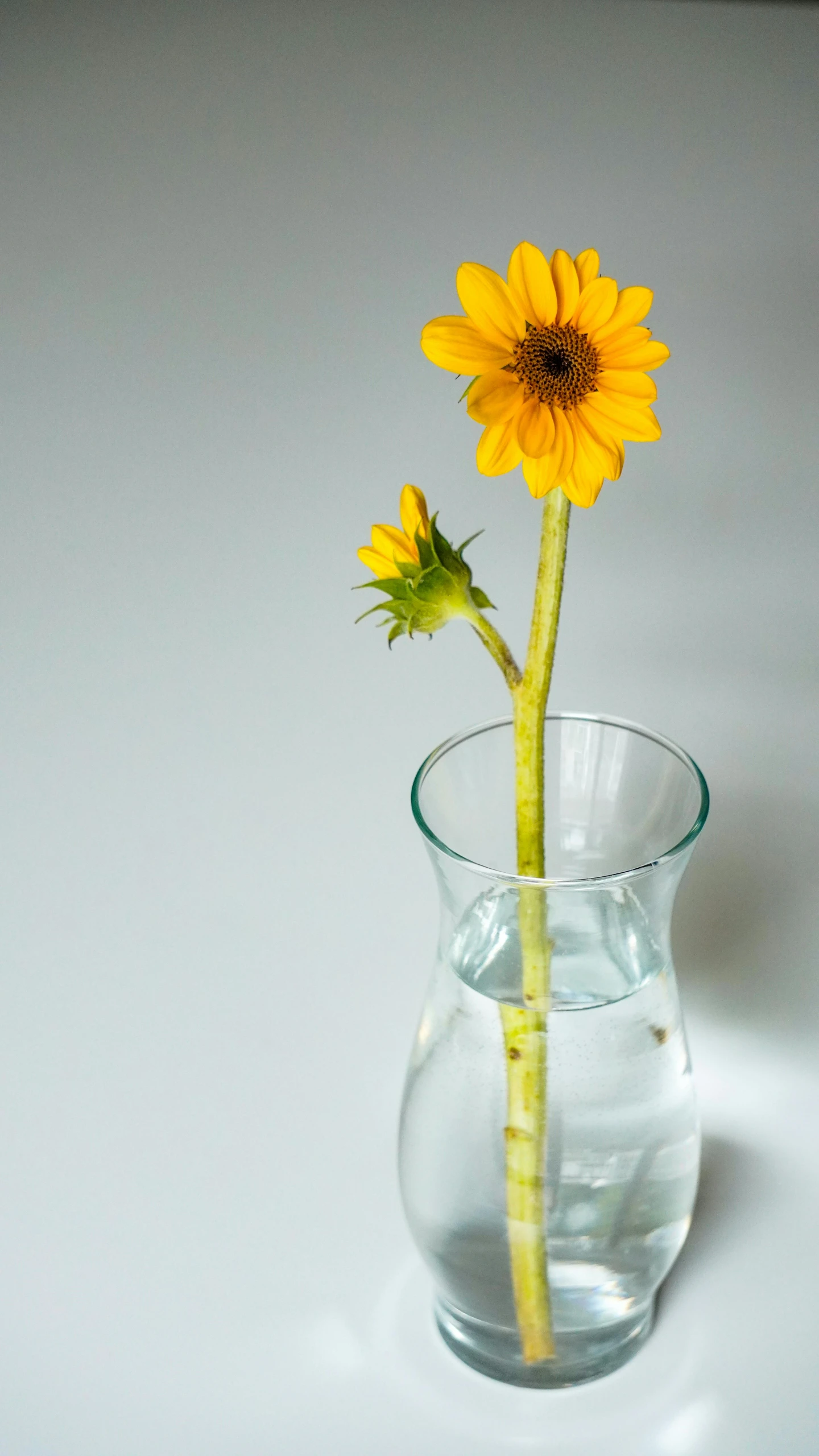 a sunflower is in the center of a small vase