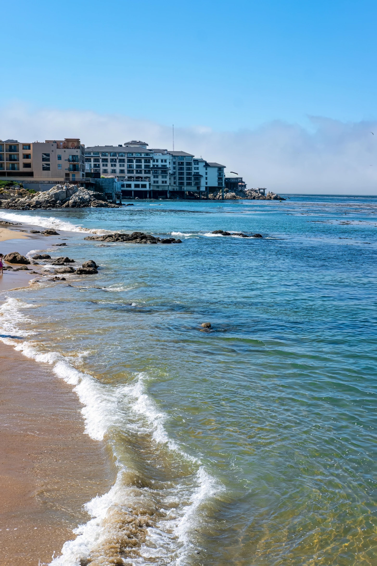 a beach and a shoreline near the resort