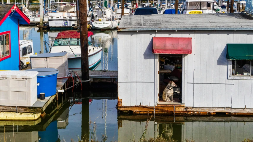 a boat dock with several boats and buildings